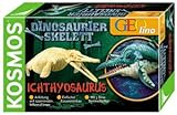 Kosmos Dinosaurier-Skelett (Experimentierkästen) : Ichtyrosaurus (Experimentierkasten)