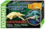 Kosmos Dinosaurier-Skelett (Experimentierkästen) : Ichtyrosaurus (Experimentierkasten)