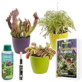 Swampworld Fleischfressende Pflanzen Set 3 + Buch, Wassermesser & Farbige Töpfe - Pflanzen Arten: 1x Venusfliegenfalle, 1x Sonnentau & 1x Schlauchpflanze - Topf-Ø 9 cm, Pflanzenhöhe: 10-20 cm