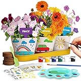 Dr. Daz Malen Garten Anzuchtset Pflanzen Geschenk Kinder Blumen Bonsai Pflanzen Züchten Kinder Set Experimentierkasten Ab 4 5 6 7 8 9 10 Jahre Mädchen