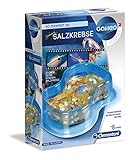 Galileo Lab – Original Salzkrebse, Züchten & Beobachten von Urzeitkrebsen, Spielzeug für Kinder ab 8 Jahren, Biologie zum Anfassen, für kleine Forscher von Clementoni 69937
