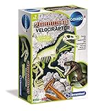 Clementoni Galileo Discovery – Ausgrabungs-Set Velociraptor, Spielzeug für Kinder ab 7 Jahren, Ausgraben von Dinosaurier-Fossilien mit Hammer & Meißel, für kleine Forscher von Clementoni 59174