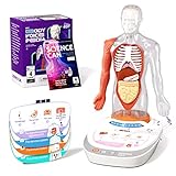 Science Can Anatomiemodell für Kinder, Menschliche Körper Set, Interaktive Spielzeug - Deutsch, 22cm Realistischer Organen & Skelett Set, Experimentierkasten für Kinder ab 6 Jahren