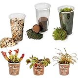 Ecoworld Fleischfressende Pflanzen DIY Flaschengarten Set - Set Mini Pflanzen: 3 Fleischfressende Pflanzen - Substrat - Erde - Moos